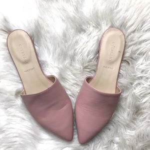 Everlane the Pointed Slide Blush Mule 8